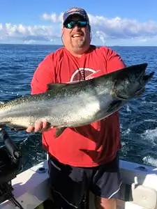 Lake Ontario Brown Trout.