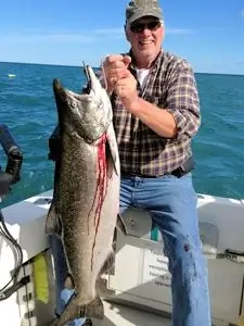Lake Ontario Brown Trout.
