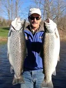 Lake Ontario Brown Trout.